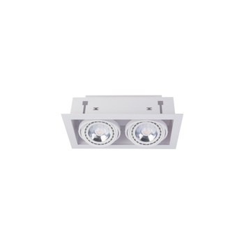 DOWNLIGHT ES111