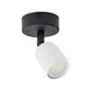 TOP BLACK/WHITE LAMPA SUFITOWA 1 PŁ