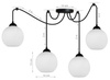 Lampa wisząca PAJĄK GLASS OWAL 4