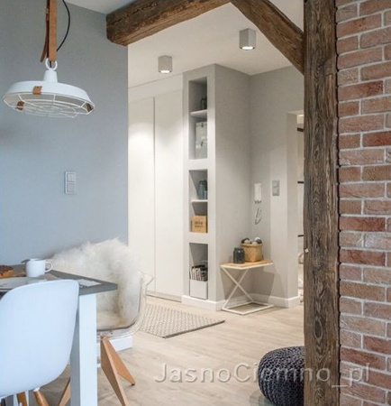 Lampa sufitowa TUBA 1 biało-srebrna