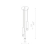 BATON