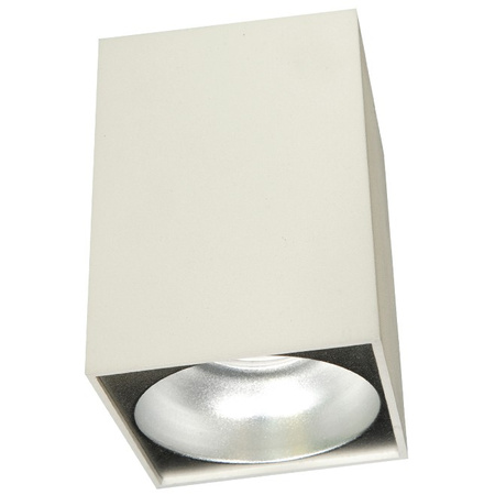 Lampa sufitowa TUBA 1 biało-srebrna