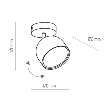 ALTEA WHITE LAMPA SUFITOWA 1 PŁ