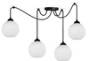 Lampa wisząca PAJĄK GLASS OWAL 4