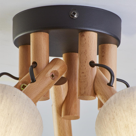 VAIO NATURE LAMPA SUFITOWA 5 PŁ.