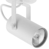 REDO WHITE LAMPA SUFITOWA 1 PŁ GU10