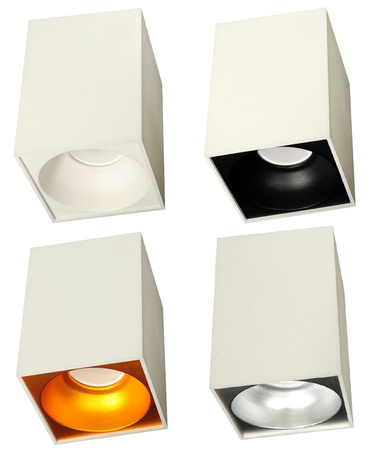 Lampa sufitowa TUBA 1 biało-srebrna