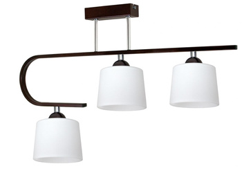 Lampa sufitowa DIUNA 3 wygięta