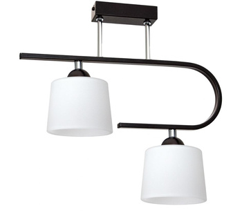 Lampa sufitowa DIUNA 2 wygięta