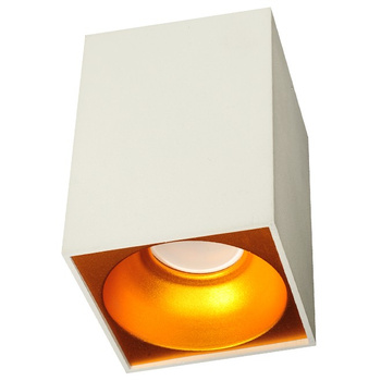 Lampa sufitowa TUBA 1 biało-złota